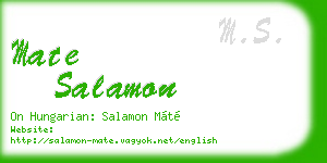 mate salamon business card